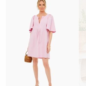 Tuckernuck Pink Mini Dress